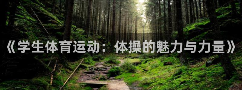 3377体育全网：《学生体育运动：体操的魅力与力量》