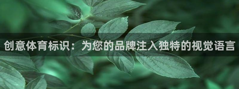 3377体育app下载安装：创意体育标识：为您的品牌注入独特的视觉语言