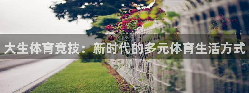 3377体育在线：大生体育竞技：新时代的多元体育生活方式