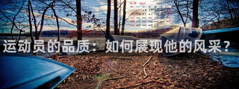 3377体育是正规的吗：运动员的品质：如何展现他的风采？
