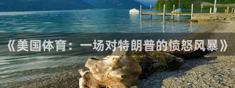3377体育在线：《美国体育：一场对特朗普的愤怒风暴》