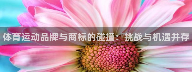 3377体育靠谱吗：体育运动品牌与商标的碰撞：挑战与机遇并存