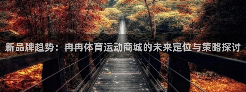 3377体育平台：新品牌趋势：冉冉体育运动商城的未来定位与策略探讨