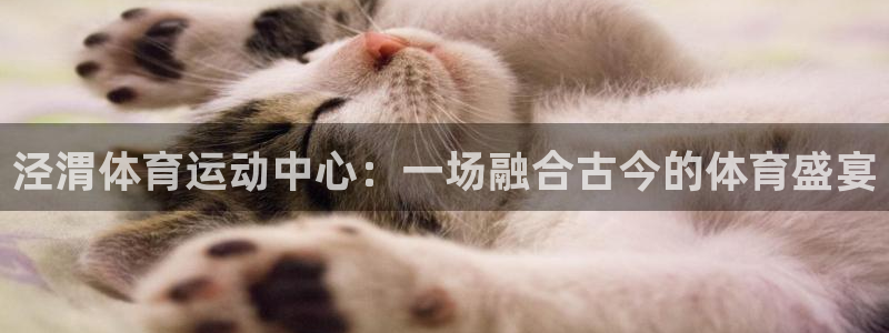 3377体育是正规的吗：泾渭体育运动中心：一场融合古今的体育盛宴