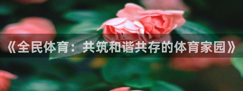 3377体育手机平台：《全民体育：共筑和谐共存的体育家园》