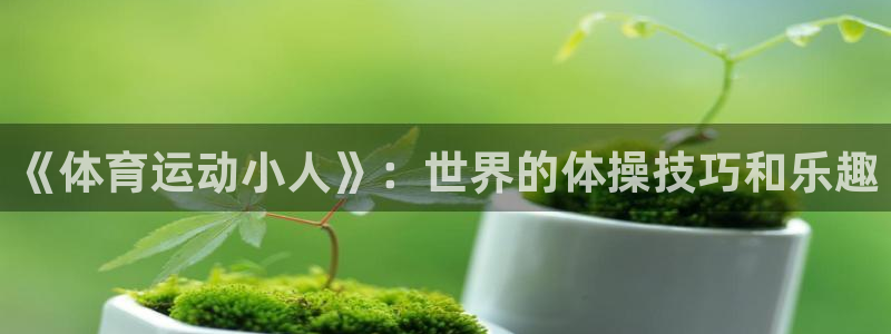 3377体育官方app下载：《体育运动小人》：世界的体操技巧和乐趣