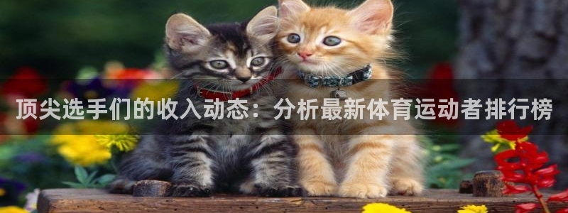 3377体育app官网下载地址：顶尖选手们的收入动态：分析最新体育运动者排行榜